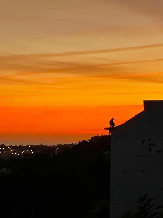 Ocean View Skyline Apartment ‚Hakuna Matata' Albufeira